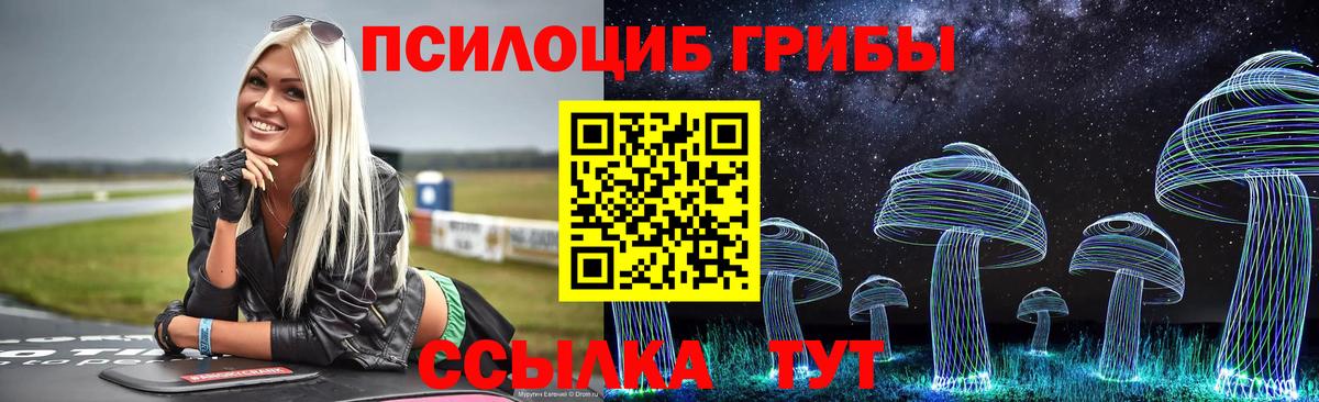 Галлюциногенные грибы Psilocybe Балашов