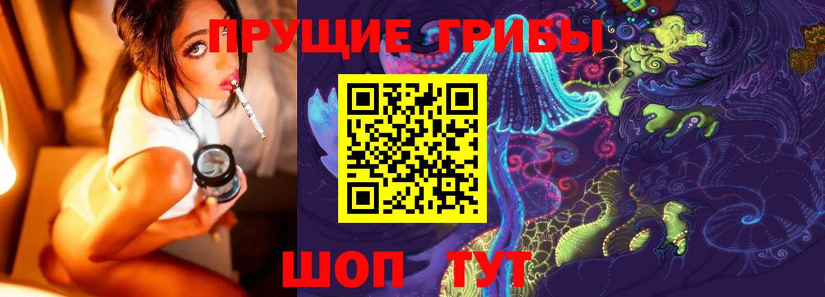 Балашов  Псилоцибиновые грибы Cubensis  Вход с VPN 